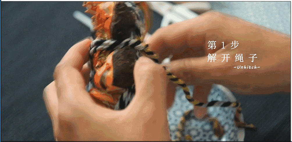 1.gif